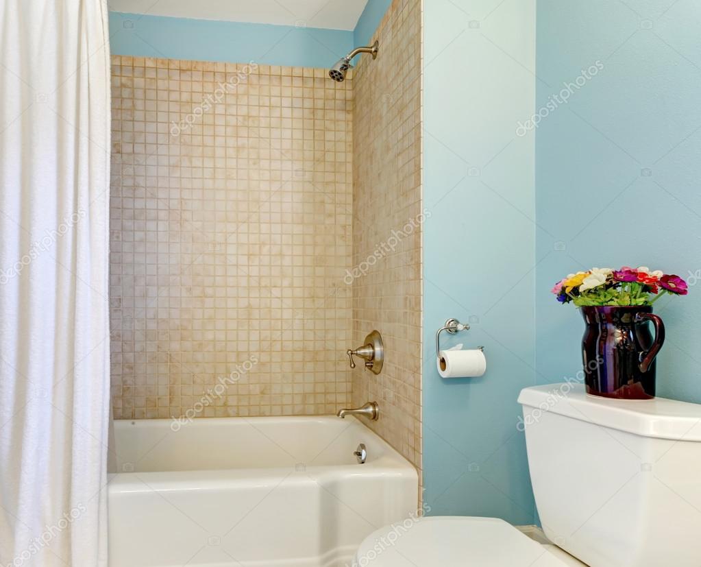 blauwe badkamer met bad en douche — Stockfoto © iriana88w #16805761 blauwe badkamer met bad en douche — Stockfoto © iriana88w #16805761