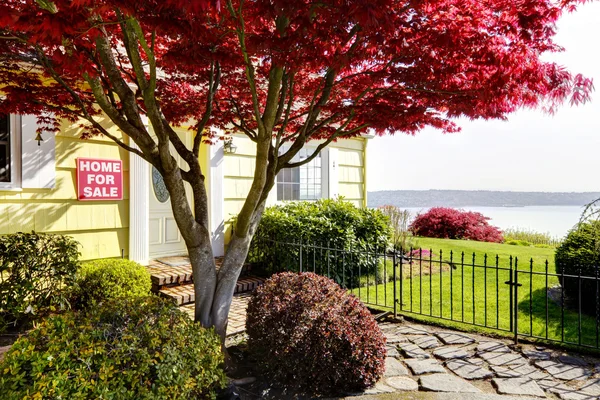 Gele kleine huis met uitzicht op water en rode esdoorn. te koop. — Stockfoto