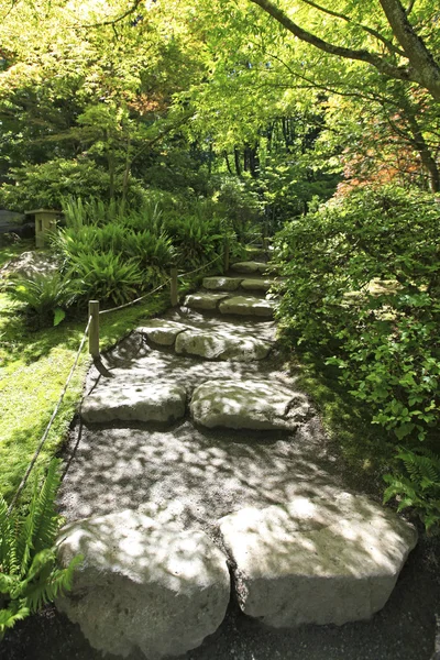 Japanse tuin in seattle, wa. stenen pad in het bos. — Stockfoto