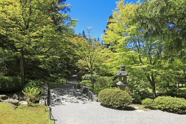 Japanse tuin in seattle, wa. stenen pad in het bos. — Stockfoto