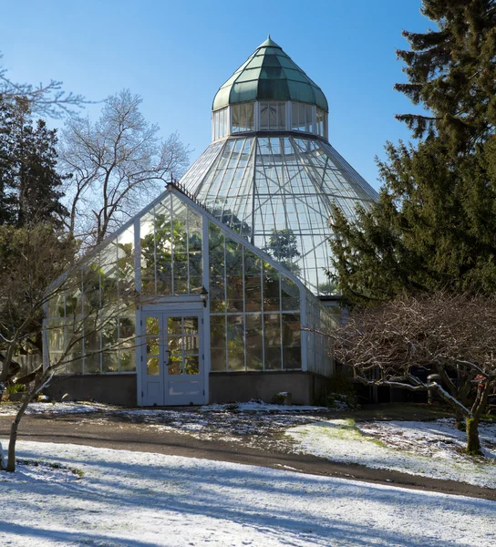 Botanical Conservatory at Wright Park, Tacoma. Downtown. Winter. — Stock Photo, Image