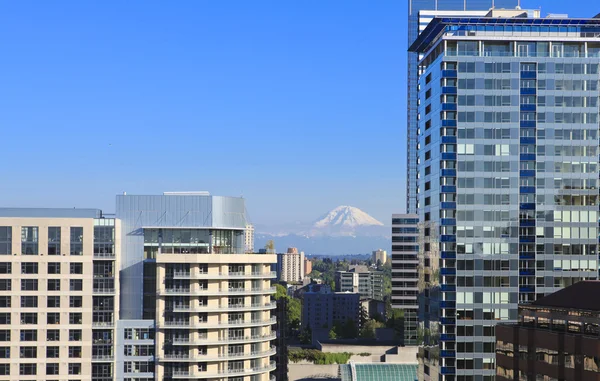 Centru města Seattle, nové mrakodrapy a mt.ranier. — Stock fotografie