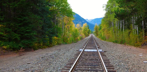 Ferrovia na floresta de outono com montanhas . — Fotografia de Stock