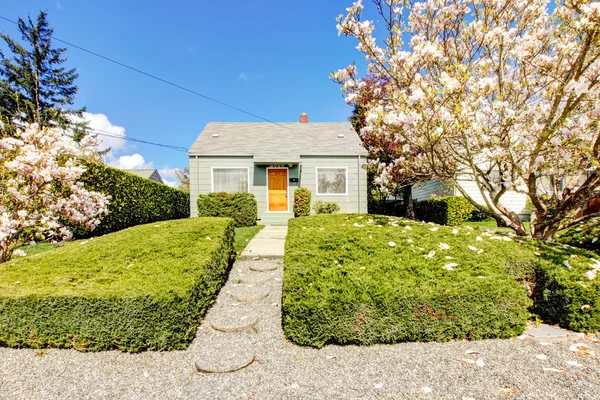 Malý zelený dům exteriéru s jarní kvetoucí stromy. — Stock fotografie