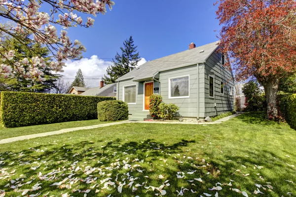 Pequeña casa verde exterior con árboles florecientes de primavera . — Foto de Stock