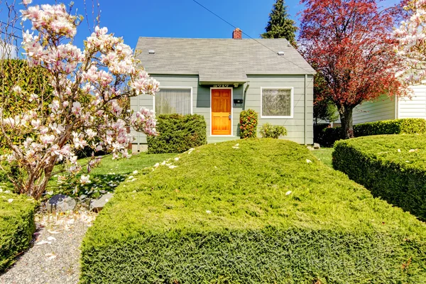 Petite maison verte extérieure avec des arbres à fleurs de printemps . — Photo