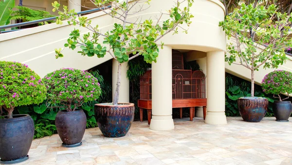 Tropical trees in luxury resort court yard. — Stock Photo, Image