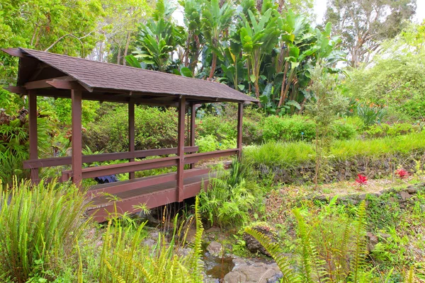 Kula botanische tuin. Maui. Hawaii. overdekte brug. tropische landschap. — Stockfoto