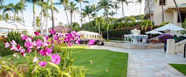热带度假村与粉红色的兰花和棕榈树. — 图库照片