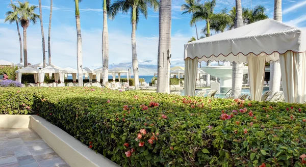 Tropical resort with white gazebo and palm trees. — Stock Photo, Image