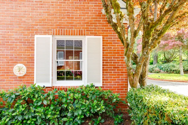 Parede de casa de tijolo com janela branca e arbustos . — Fotografia de Stock