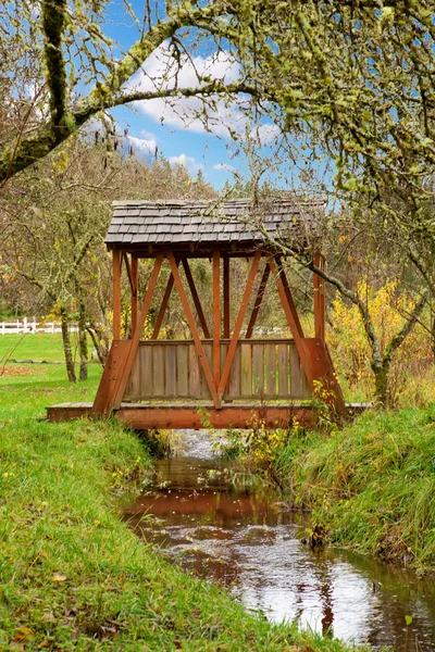 Puente cubierto sobre pequeño arroyo durante el otoño . — Foto de Stock