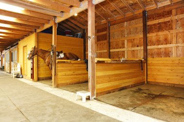 Interior of shed with horse stables. clipart