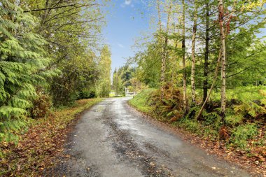 küçük beyaz tarım yeşil kapı ile shed.