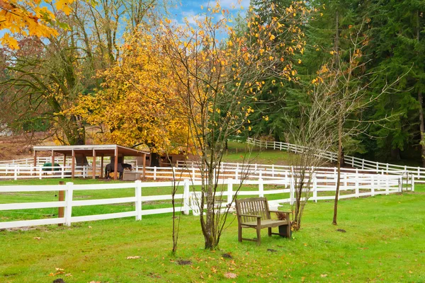 Horse farm with white fence and fall colorful leaves. — Stock Photo, Image