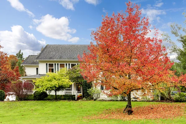 White horse farm American house during fall with green grass. — Stock Photo, Image