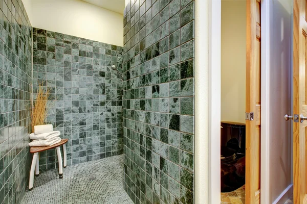 Gran solución de ducha. Suelo y paredes de baldosas verdes —  Fotos de Stock