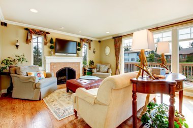 rahat furnite ve dumanlı arka plan firep aydınlık oturma odası