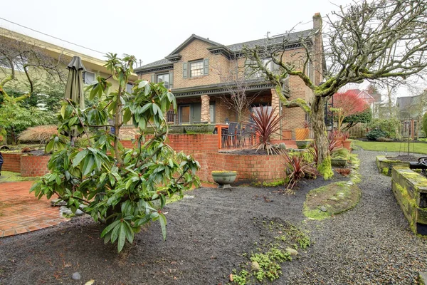 Mooie achtertuin lentetuin na regen — Stockfoto