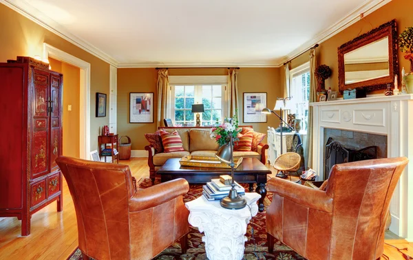 Okouzlující rodinný pokoj s nábytkem starého stylu a krb — Stock fotografie