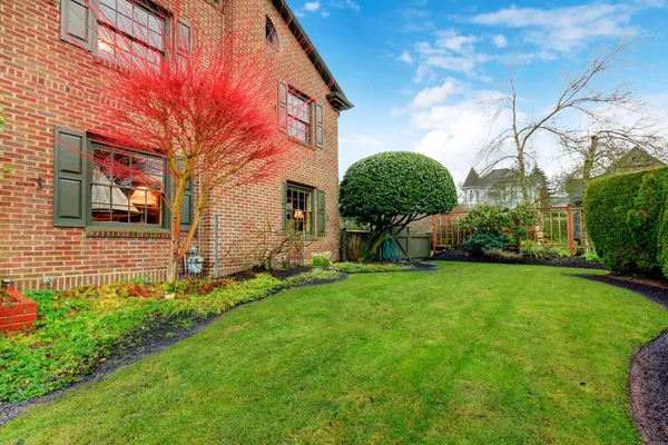 Beatiful green backyard with hedge and exotic red tree — Stock Photo, Image