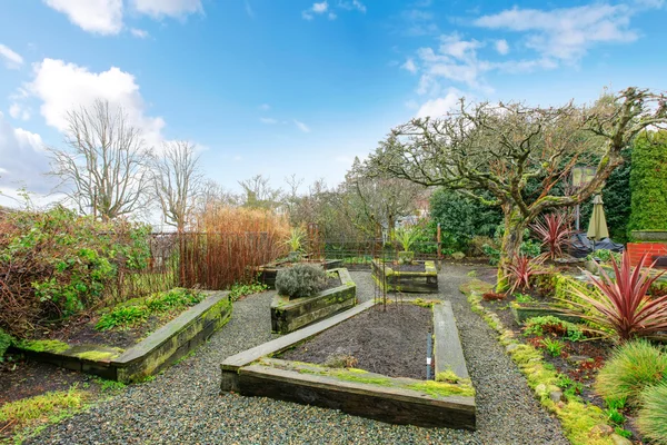 Frühling Garten im Hinterhof — Stockfoto