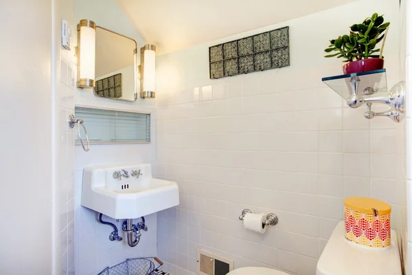 Baño blanco decorado con maceta y percha rústica —  Fotos de Stock