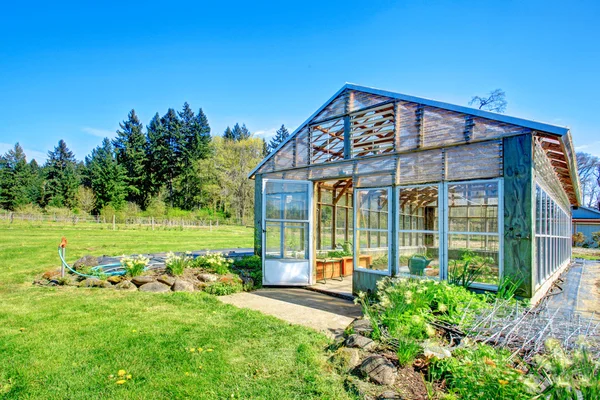 Farm with greenhouse — Stock Photo, Image