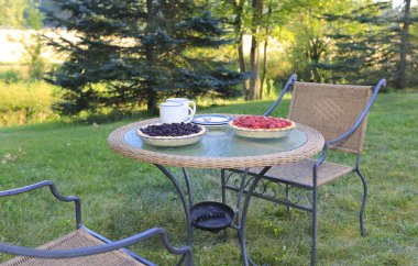 Kırsal yaşam tadını çıkarın. Harika yaz sabahı