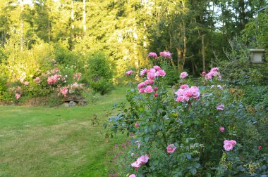 çiftlik arka bahçesinde Bayındır