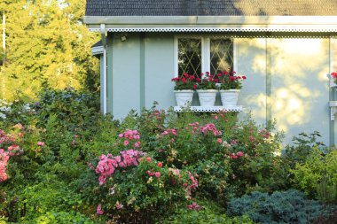 çiftlik arka bahçe dekore pencere ile Bayındır