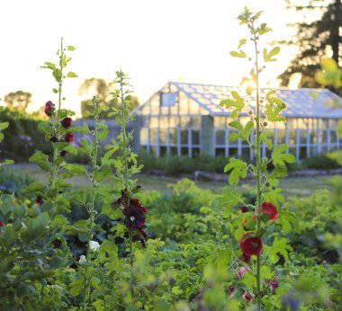 Yaz Çiftliği Bahçe