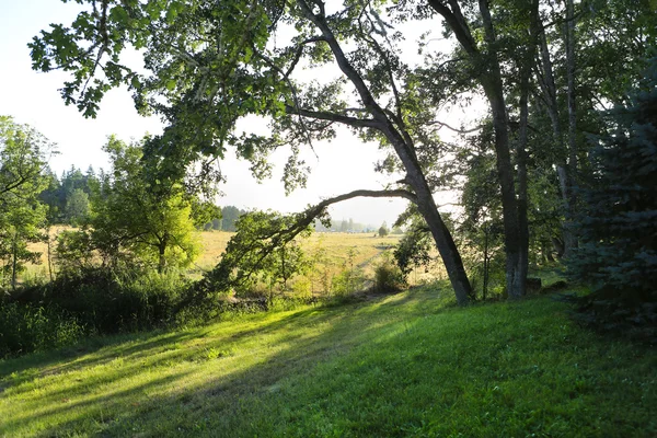 아침 시골 풍경 — 스톡 사진