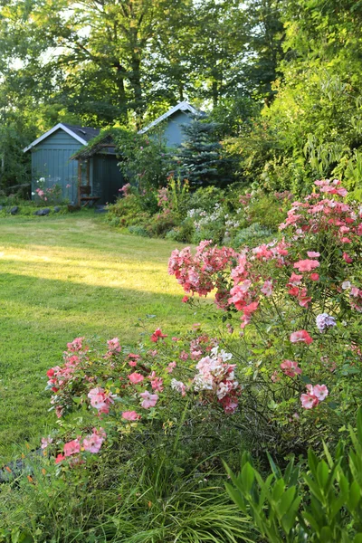 Floreciente granja patio trasero con cobertizos y casa de jardín — Foto de Stock