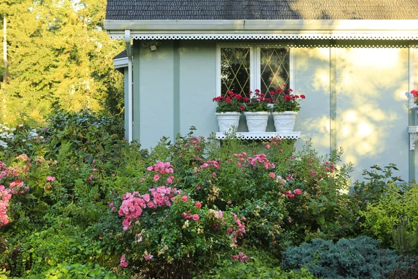 Blühender Bauernhof mit dekoriertem Fenster — Stockfoto