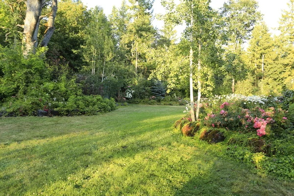 Blomstrande gård bakgård — Stockfoto