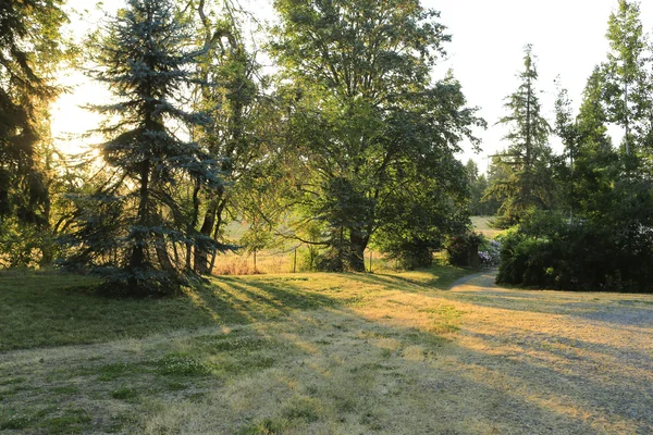 Vista de la mañana del campo — Foto de Stock