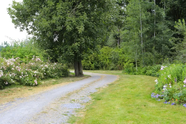 Hermosa granja camino en coche — Foto de Stock