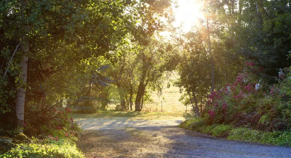 Çok güzel bir sabah kırsal manzara — Stok fotoğraf