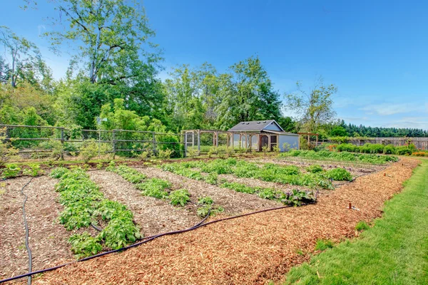 Pintoresca granja jardín cama y casa verde — Foto de Stock