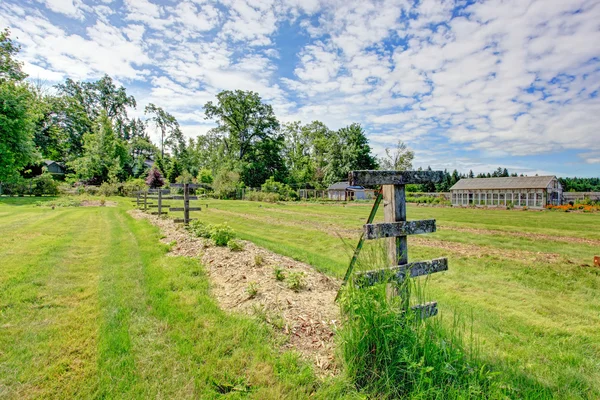 Vacker sommar gröna landskapet — Stockfoto