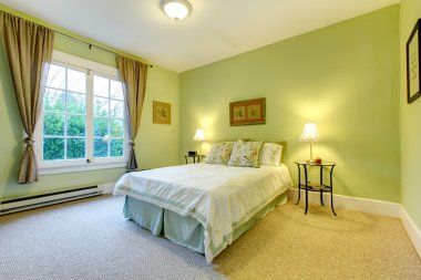 Refreshing mint bedroom