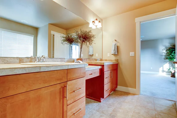 Soft colors cozy bathroom with decorative tree — Stock Photo, Image