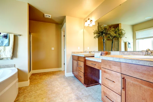 Soft colors cozy bathroom with decorative tree — Stock Photo, Image