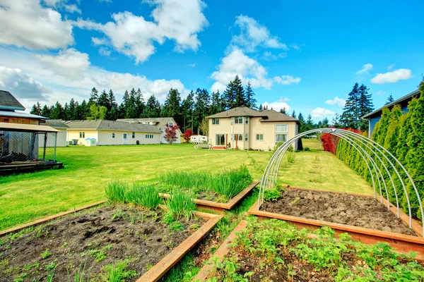 Cour arrière verte avec lit de jardin — Photo