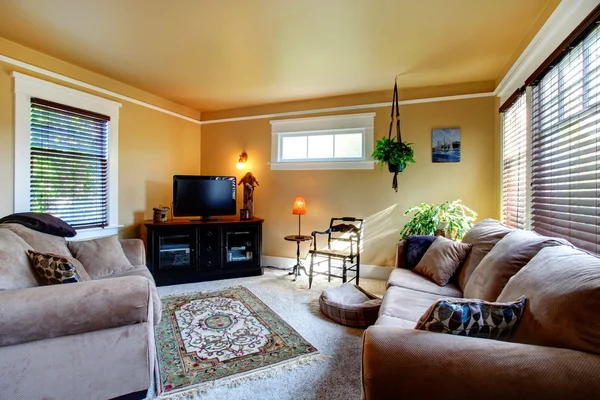 Cozy living room with couch and tv — Stock Photo, Image