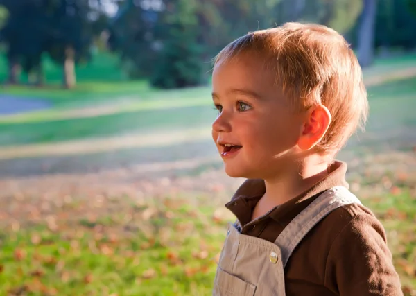 Niño feliz está jugando en el parque durante el atardecer . —  Fotos de Stock