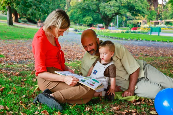 Родители и мальчик читают в парке на закате . — стоковое фото