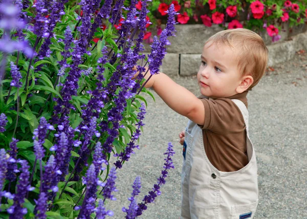 Niño feliz está de pie en el parque cerca de un gran arbusto de púrpura —  Fotos de Stock