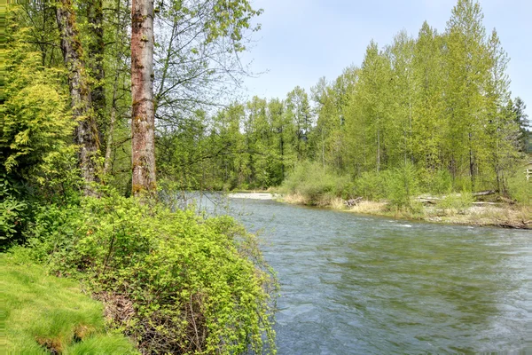 Malerische Natur. Fluss — Stockfoto